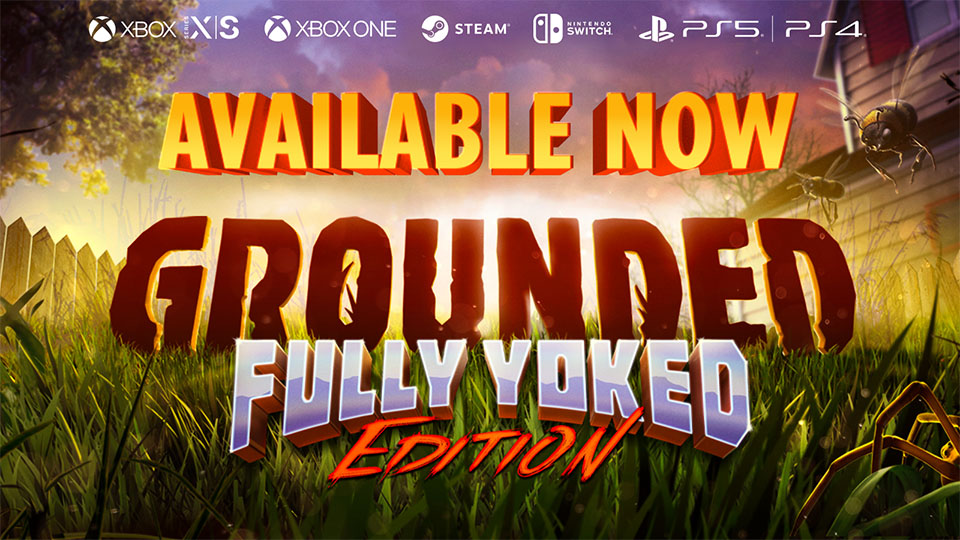 Grounded Fully Yoked Edition Switch スイッチ Grounded Fully Yoked Edition Switch スイッチ Grounded - Fully