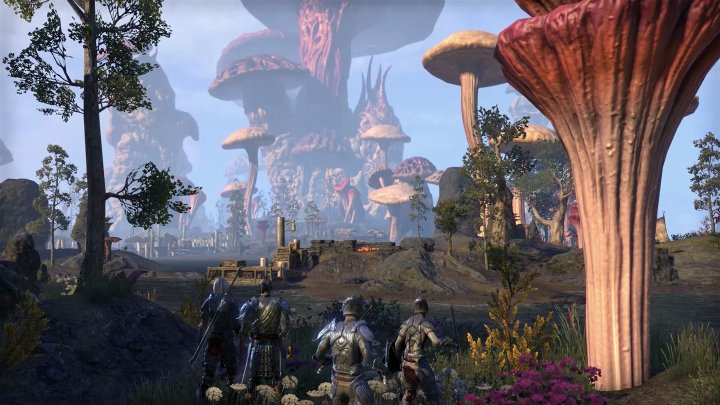 The Elder Scrolls Online: Morrowind Screenshot