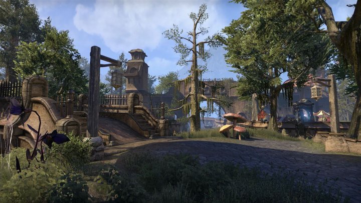 The Elder Scrolls Online: Morrowind Screenshot
