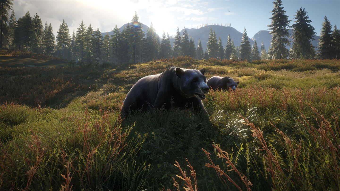theHunter Call of the Wild Screenshot