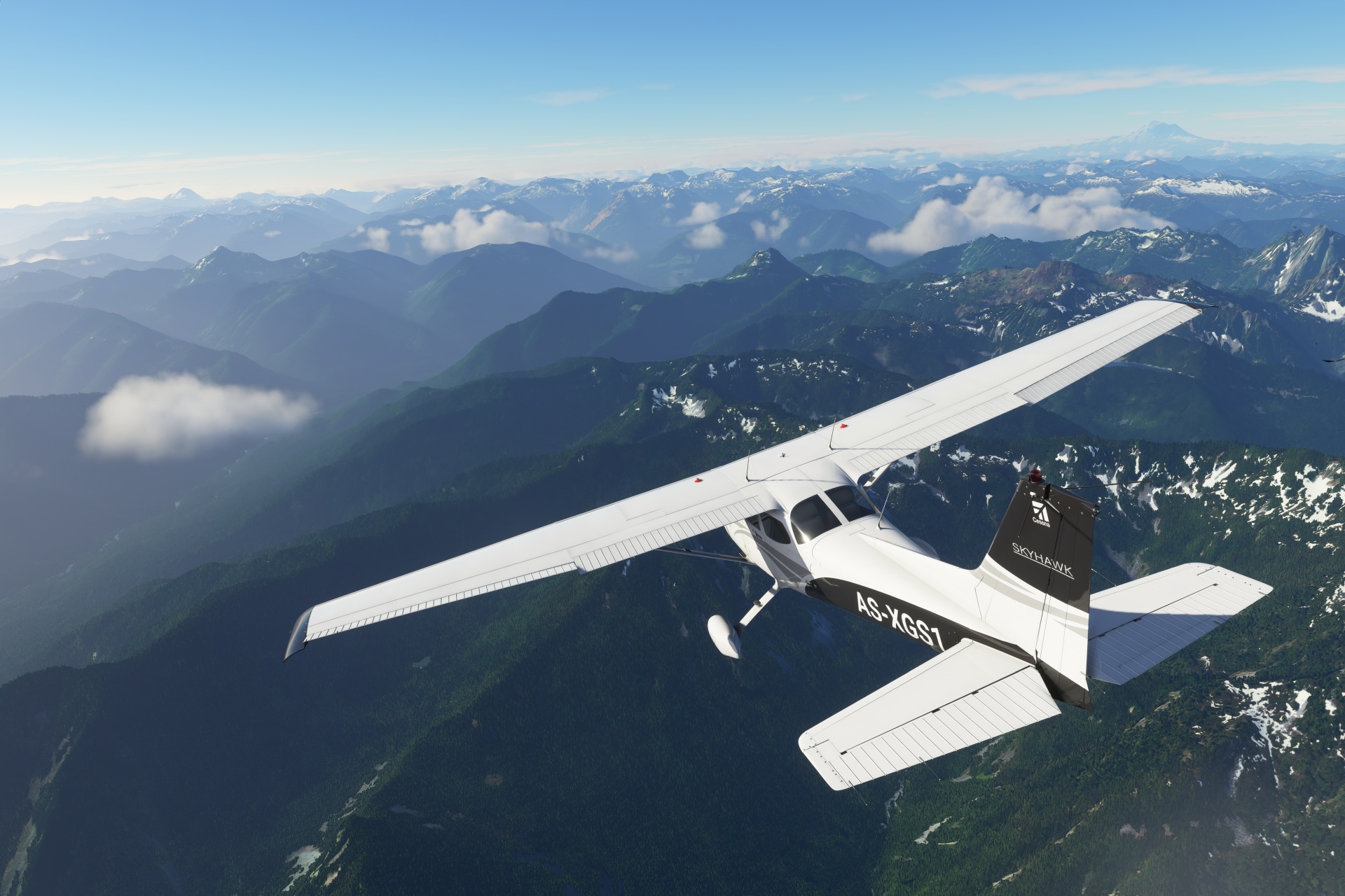 Microsoft Flight Simulator