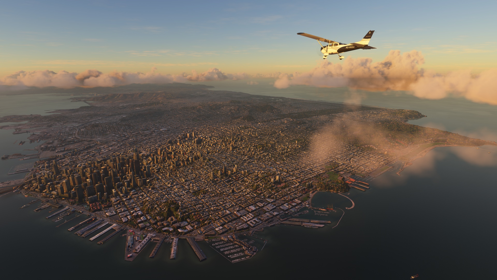 Microsoft Flight Simulator