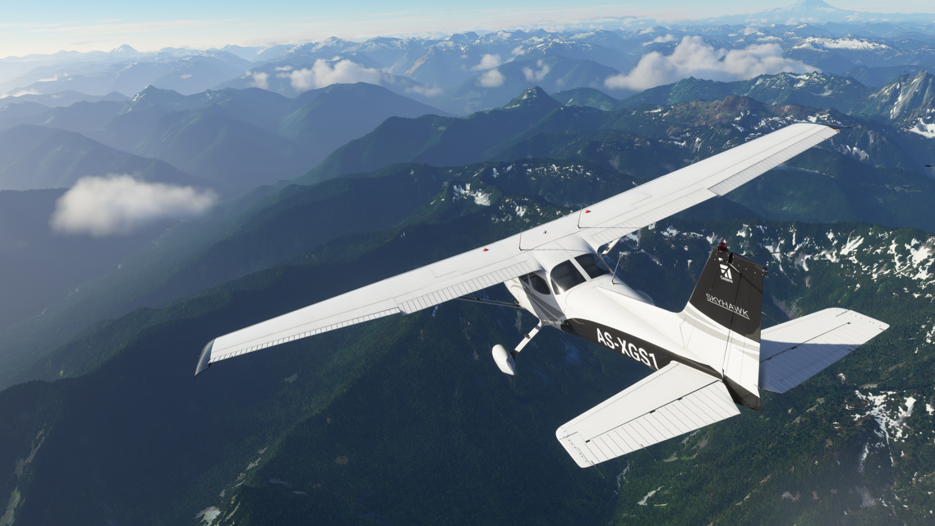 FlightSim Hero X019 image