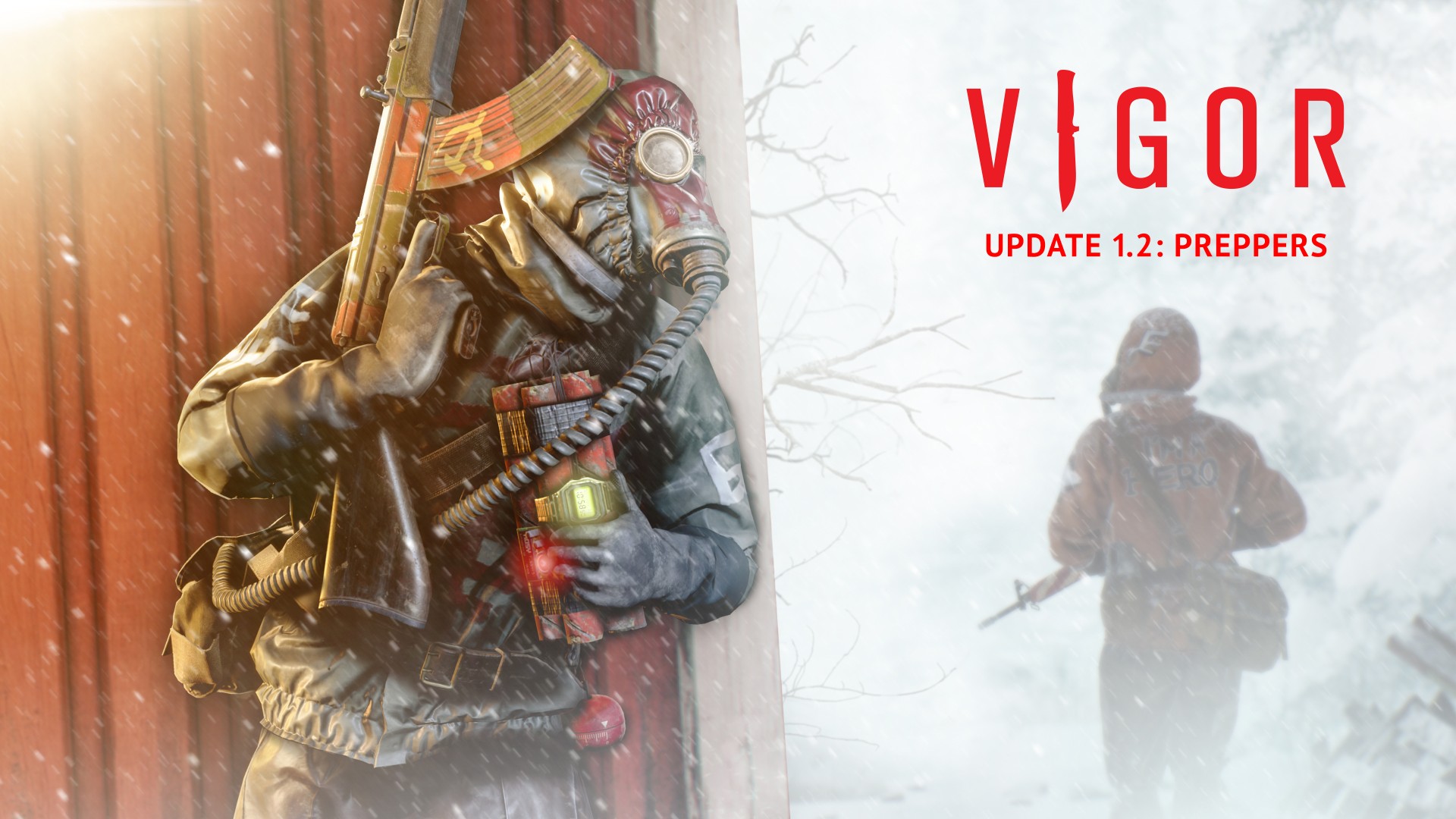 Vigor