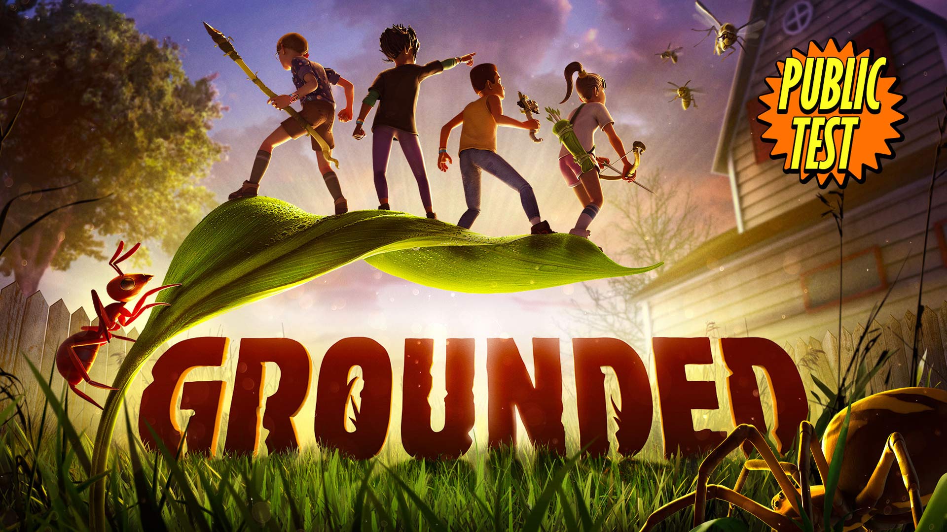 Grounded Public Test