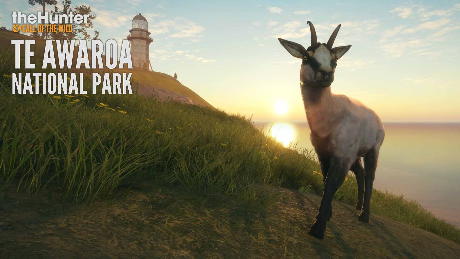 theHunter Call of the Wild - Te Awaroa National Park