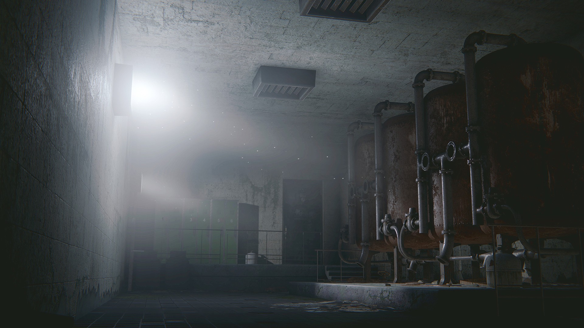 In Rays of the Light