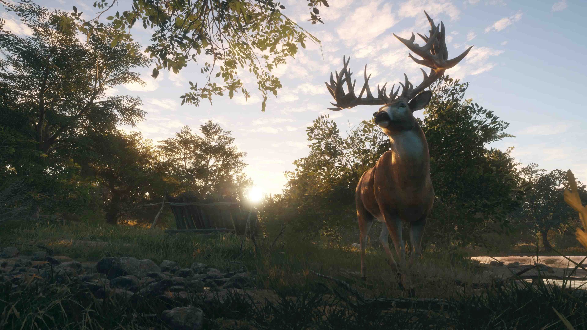theHunter: Call of the Wild - Rancho Del Arroyo