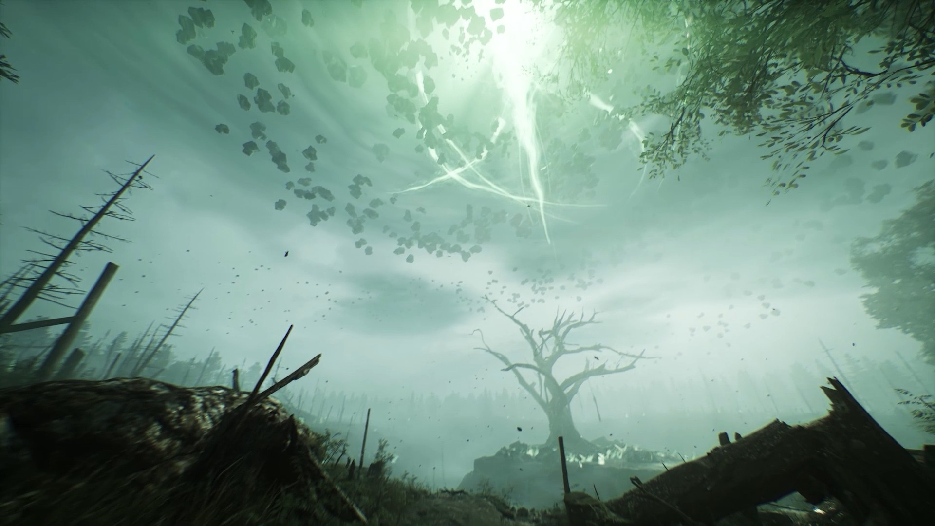Chernobylite Image
