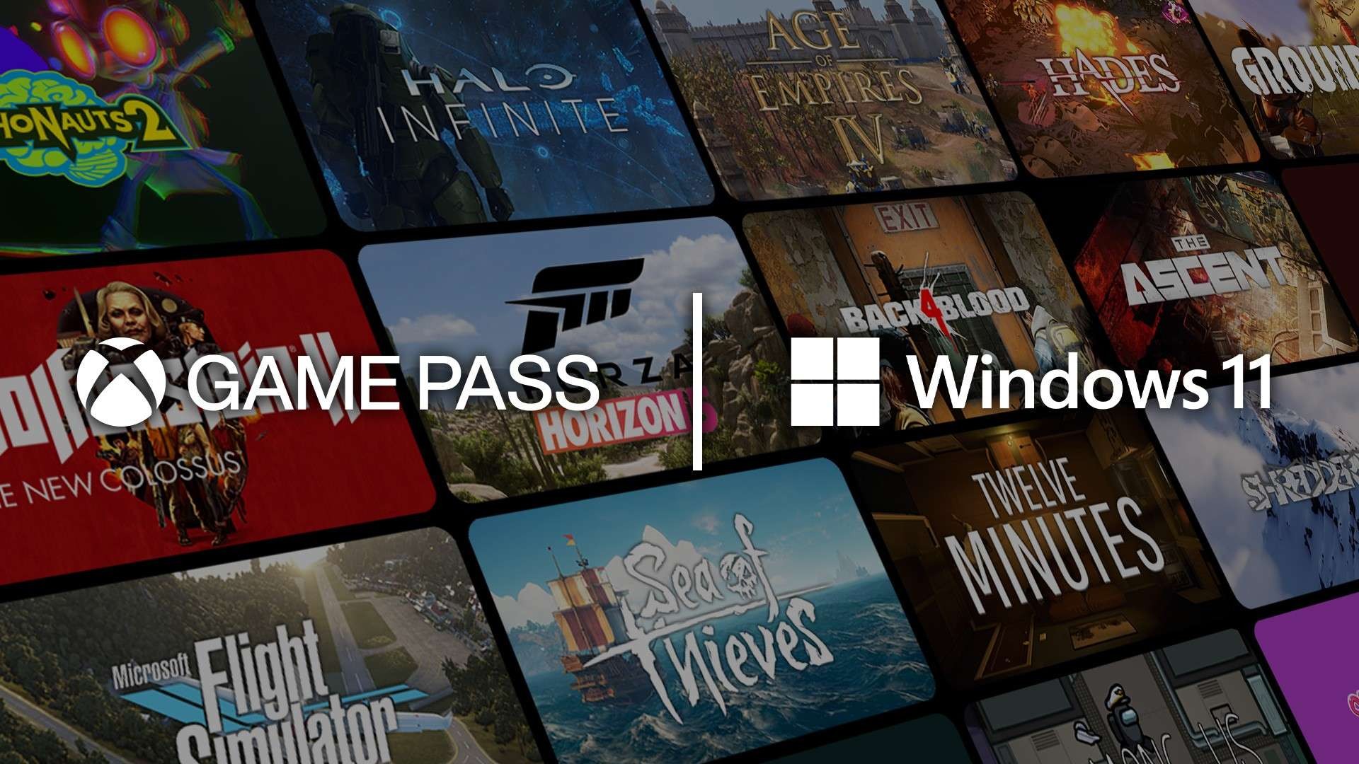 Windows 11 Hero Image