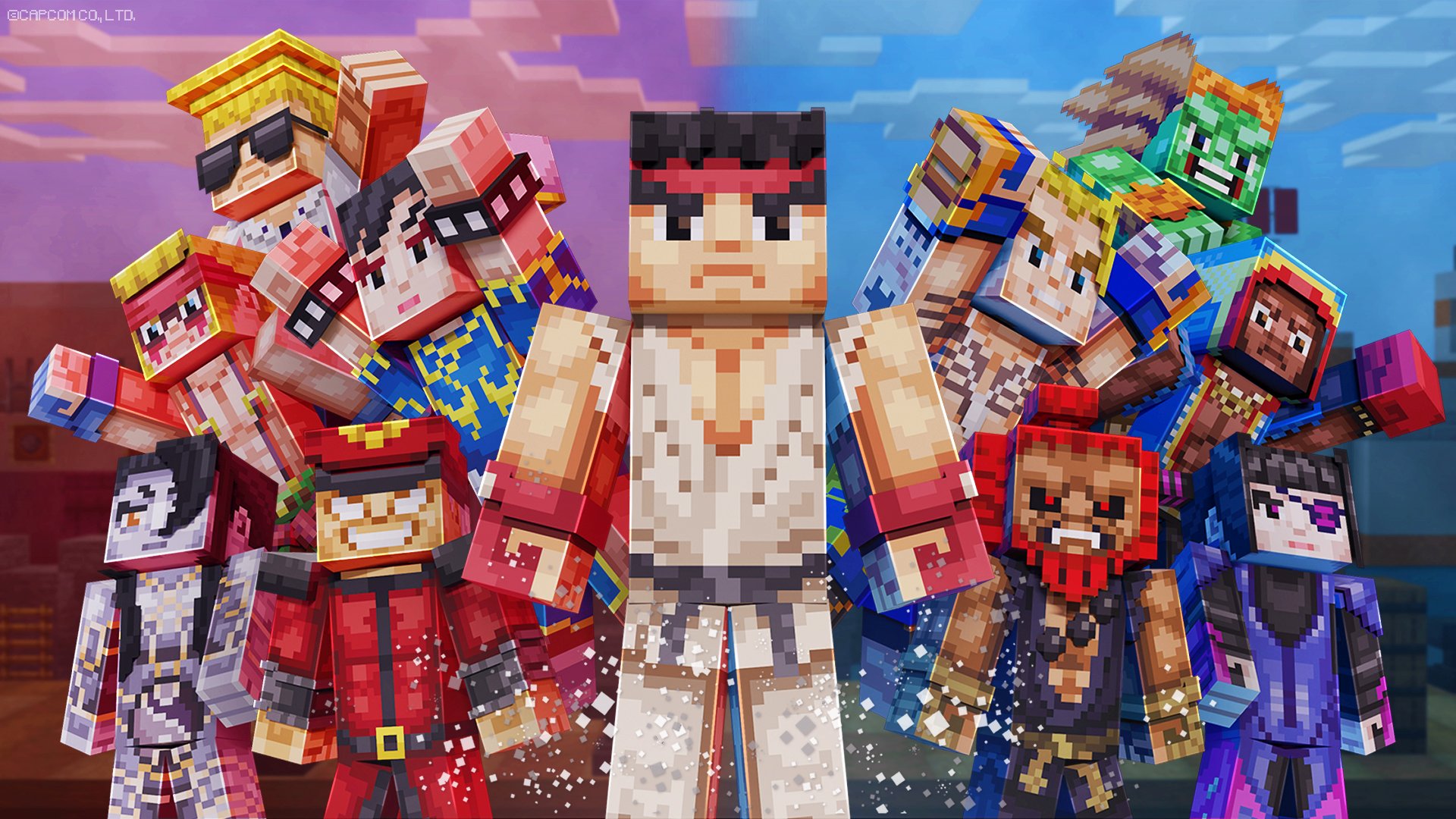 THE WORLD WARRIOR SKIN PACK