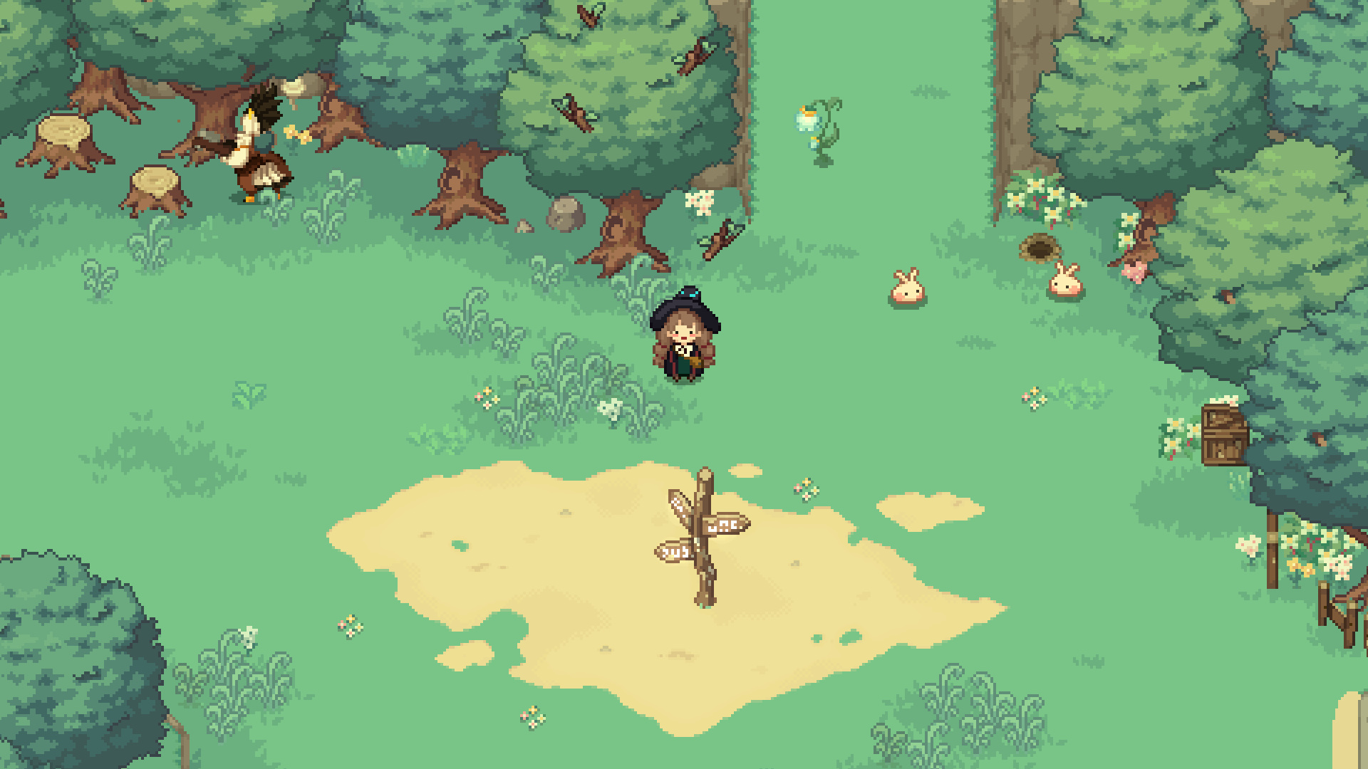Little Witch in the Woods