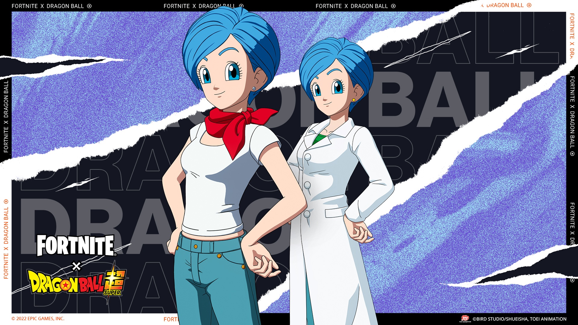 Asset of Bulma