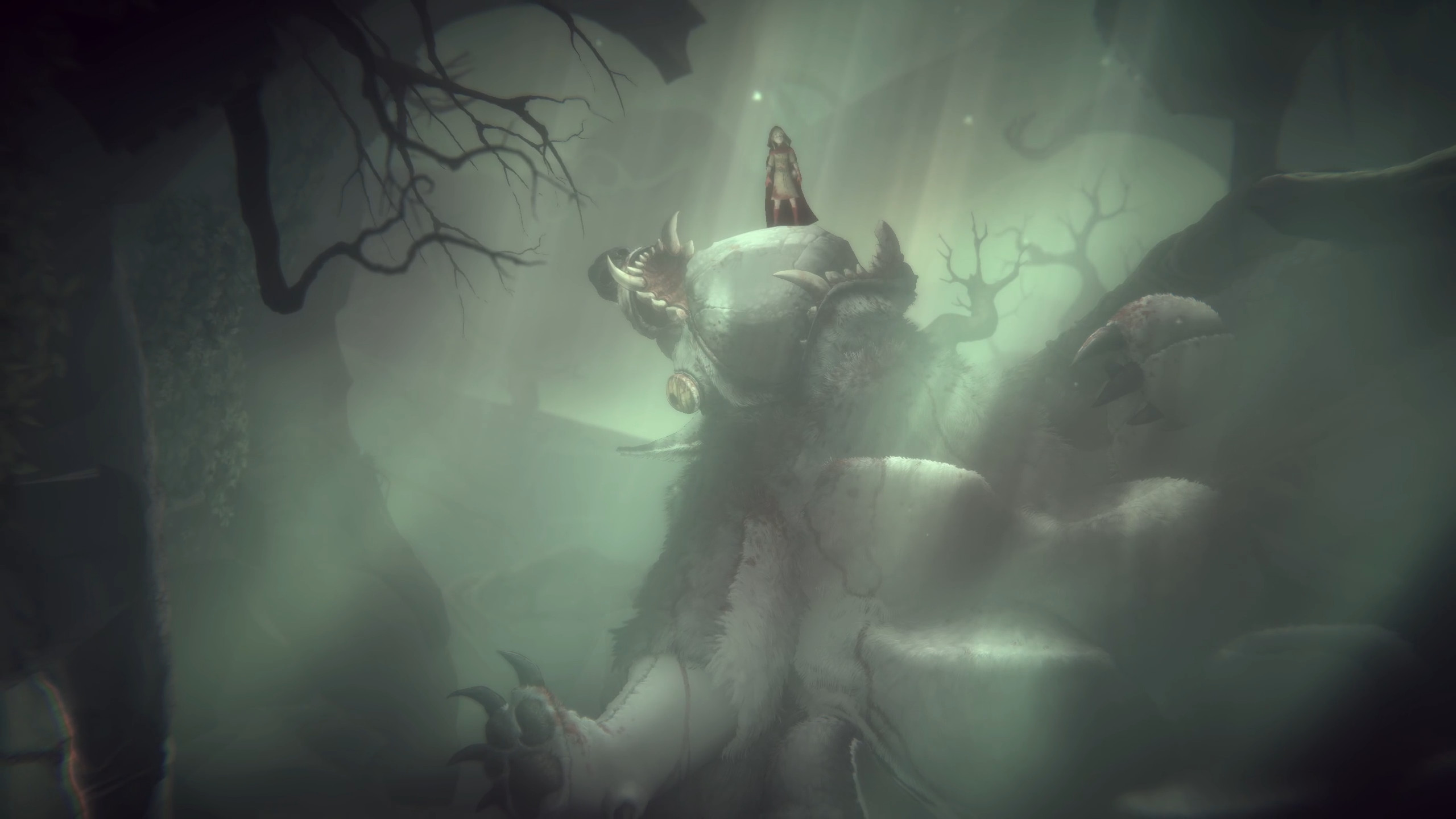 misty forest
