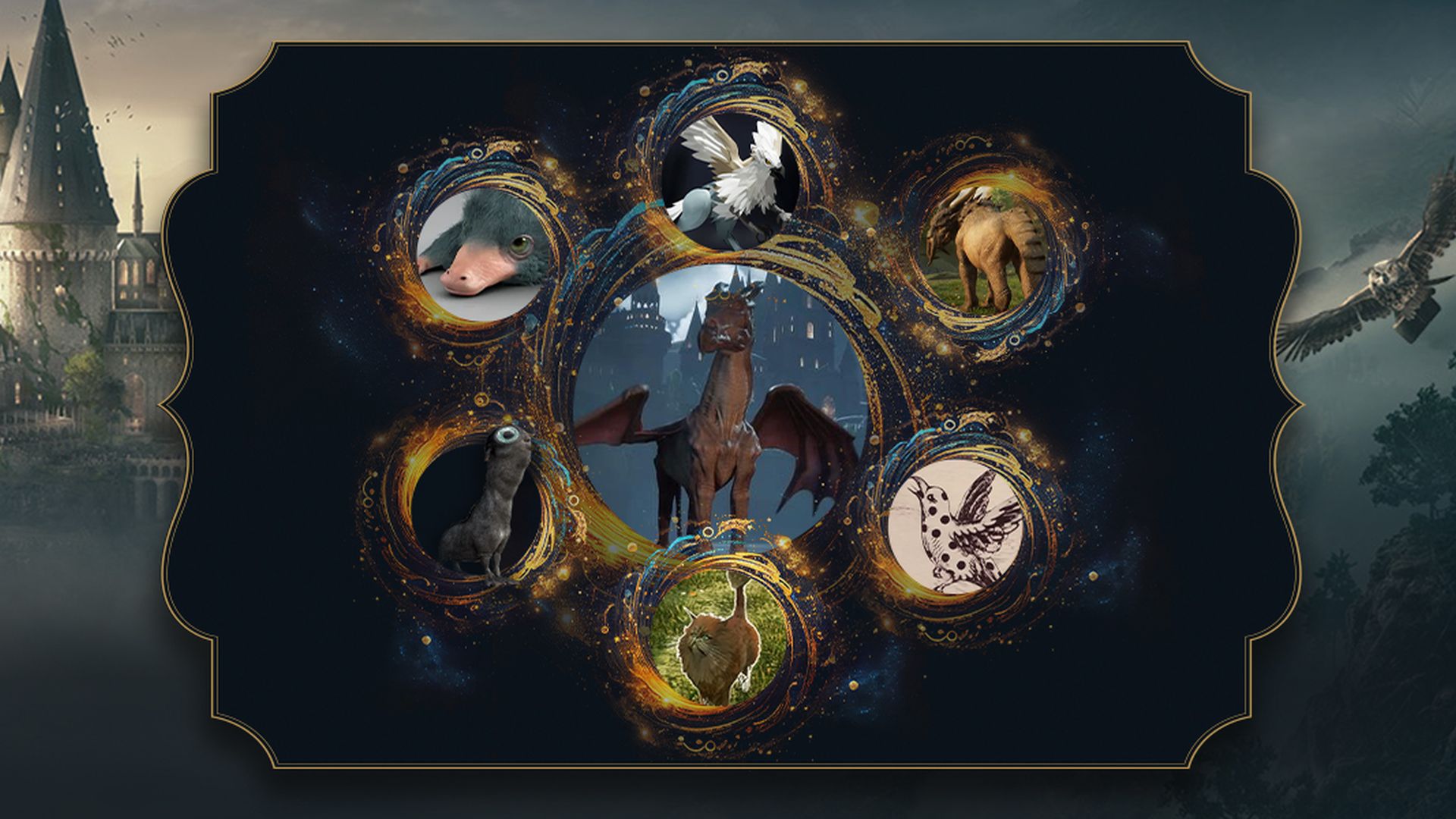 Hogwarts Legacy WWF Quiz Hero Image