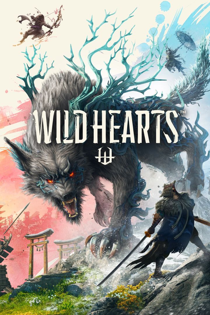 Wild Hearts Box Art
