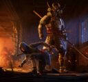 Assassin's Creed Shadows Asset