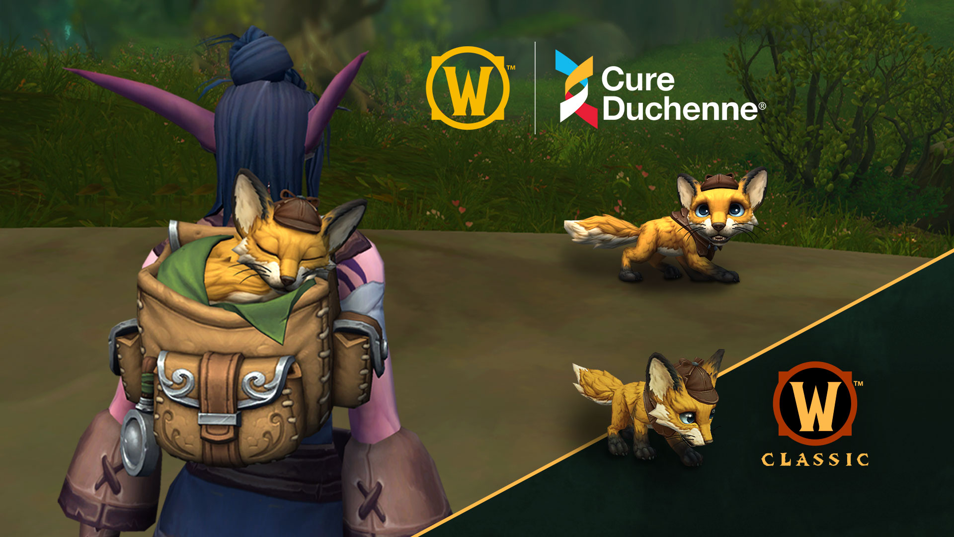 WoW Chairty Pet Hero Image