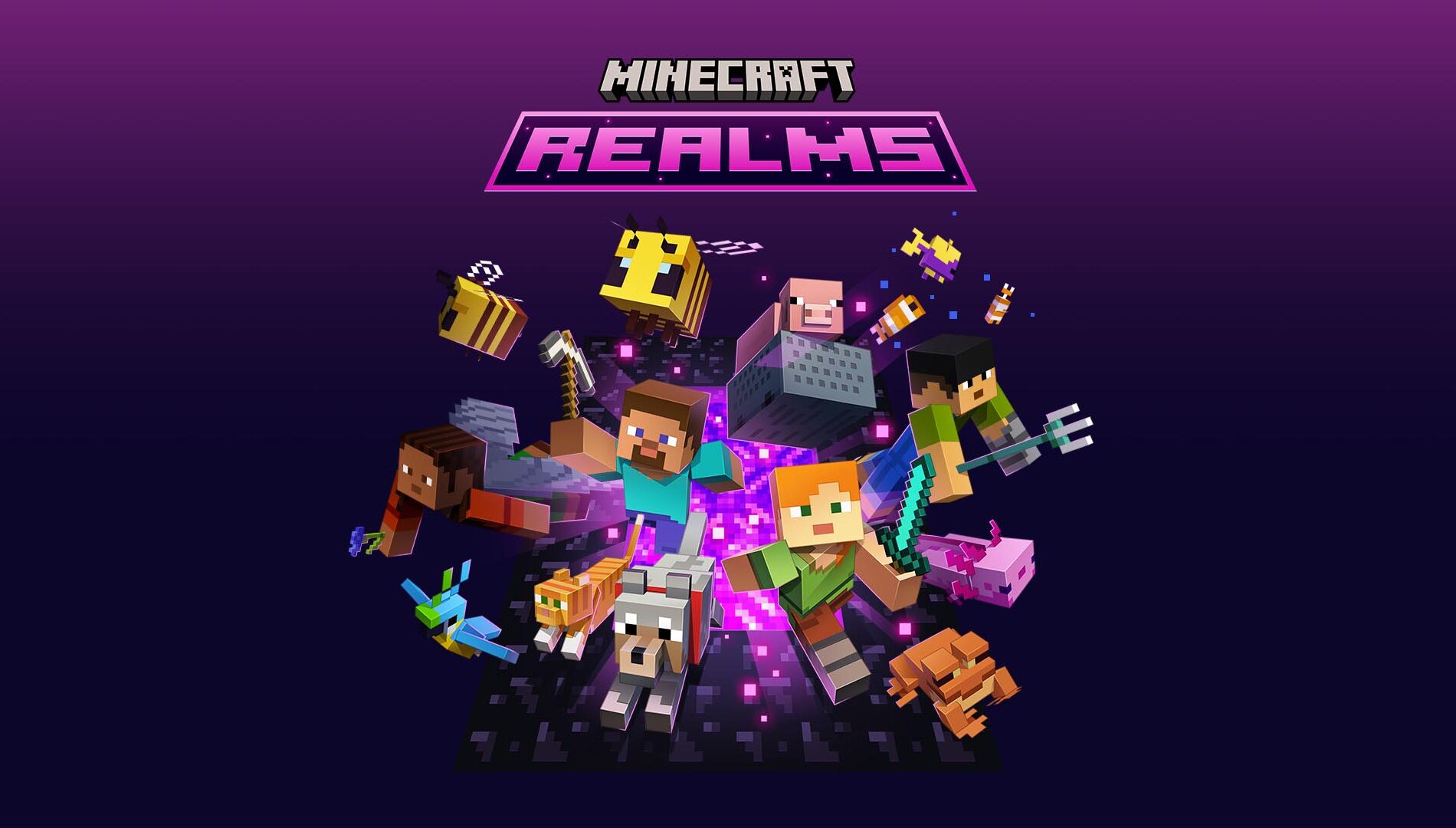Minecraft Realms Plus image