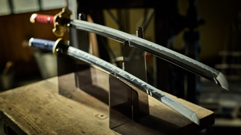 Ninja Gaiden Swords Hero Image