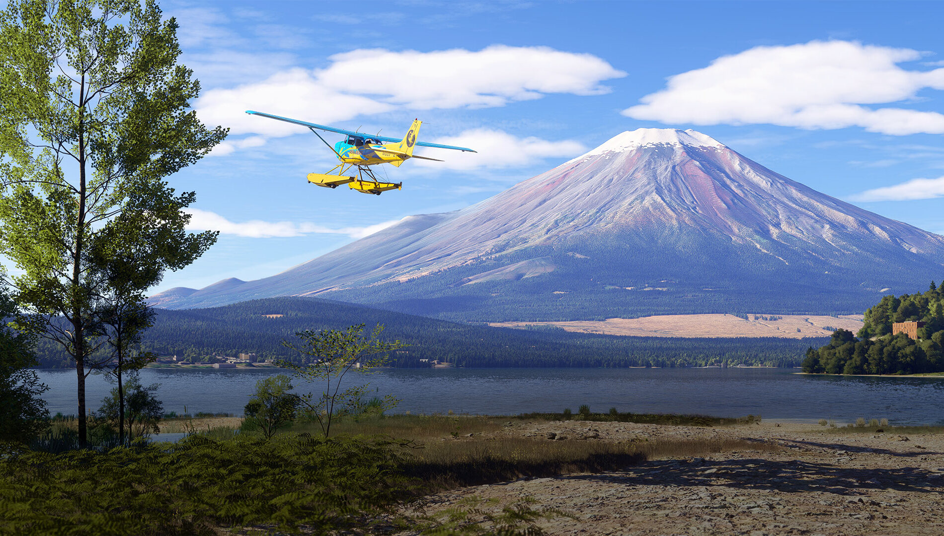 Microsoft Flight Simulator