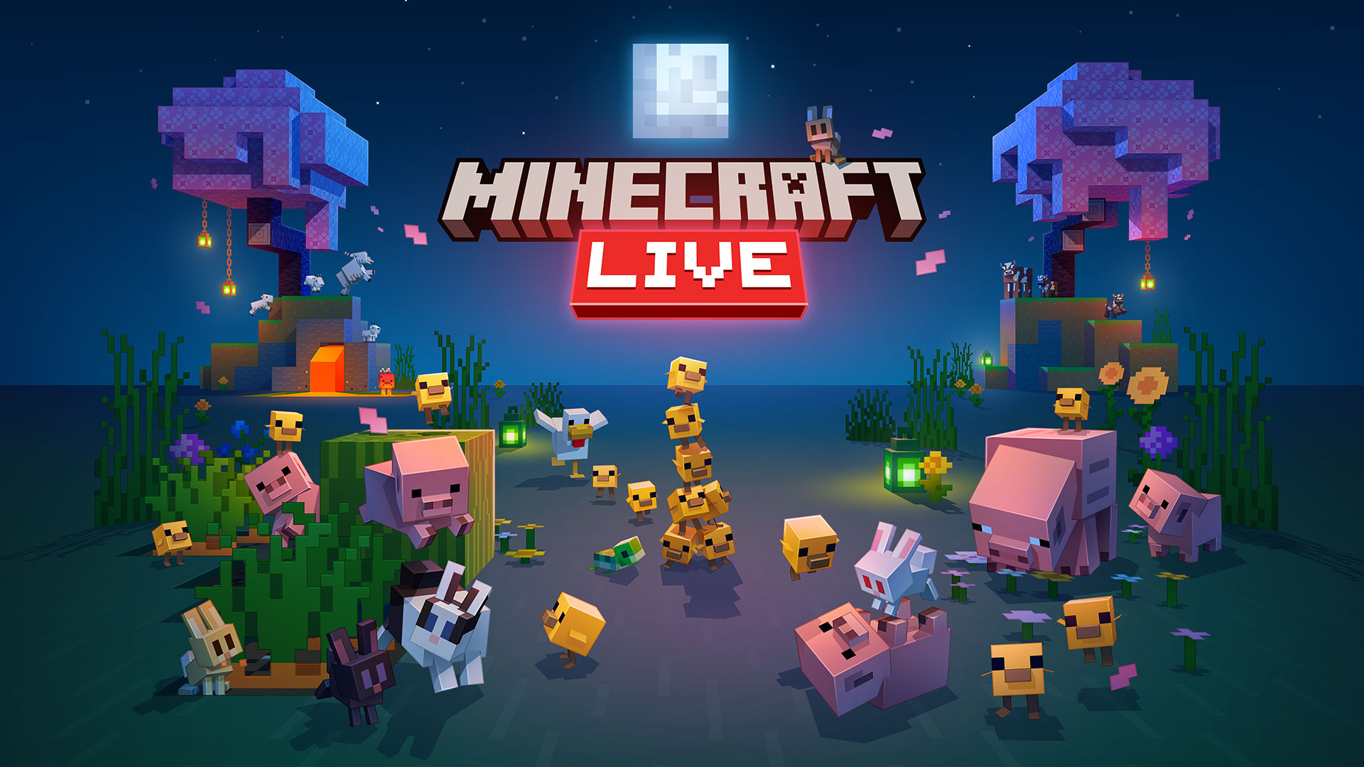 Minecraft Live Hero Image