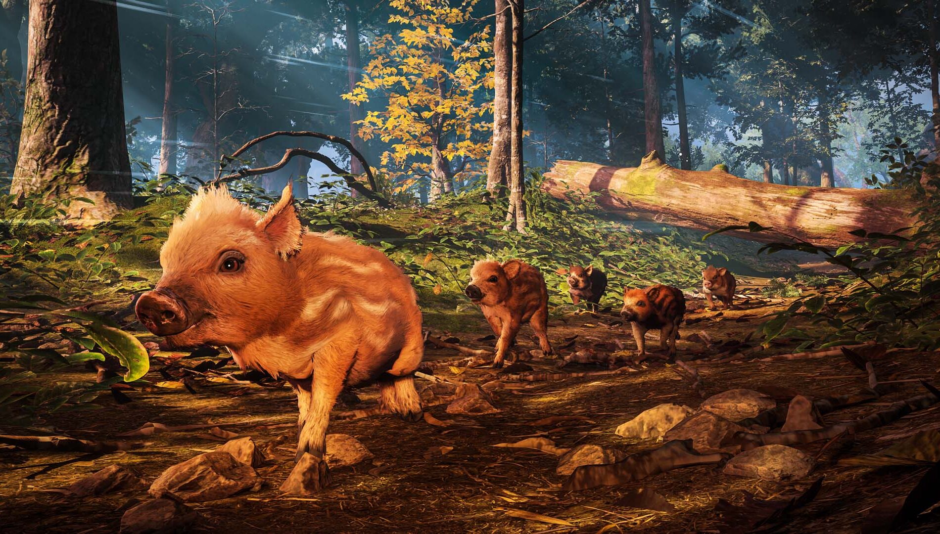 Adorable Adventures screenshot