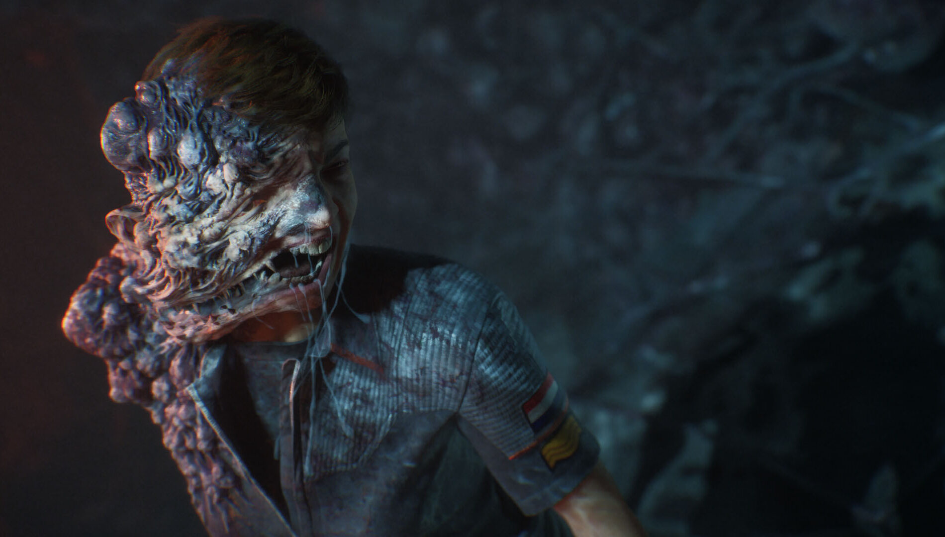 Directive 8020 screenshot