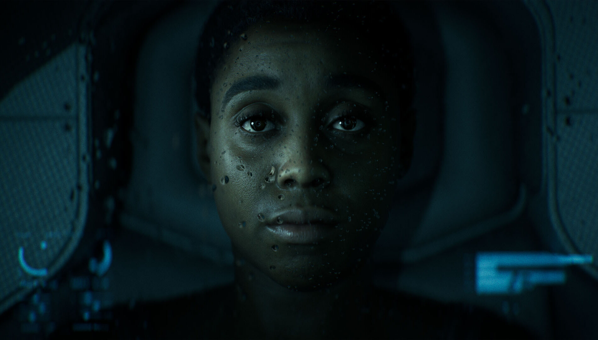 Directive 8020 screenshot