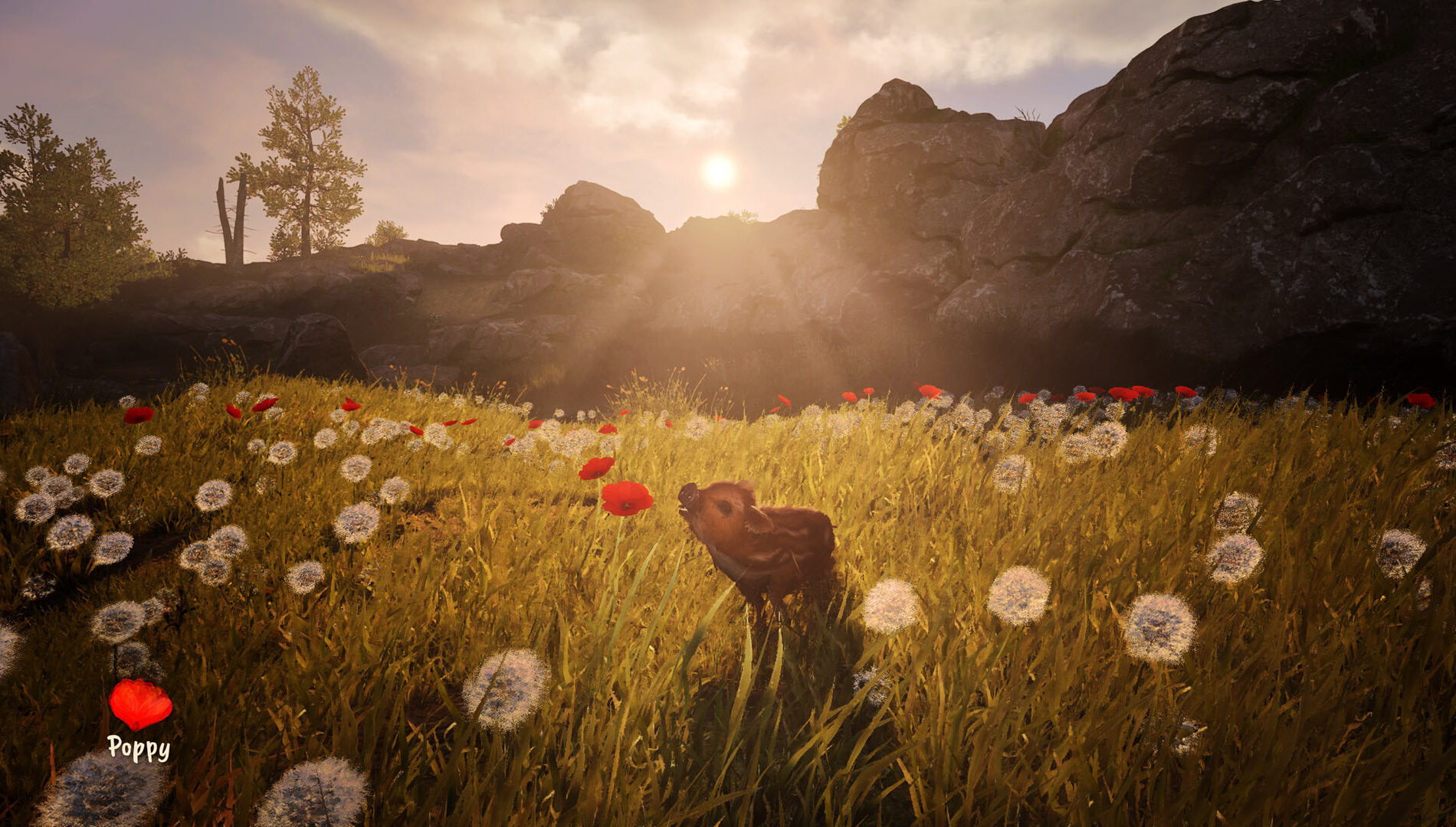 Adorable Adventures screemshot