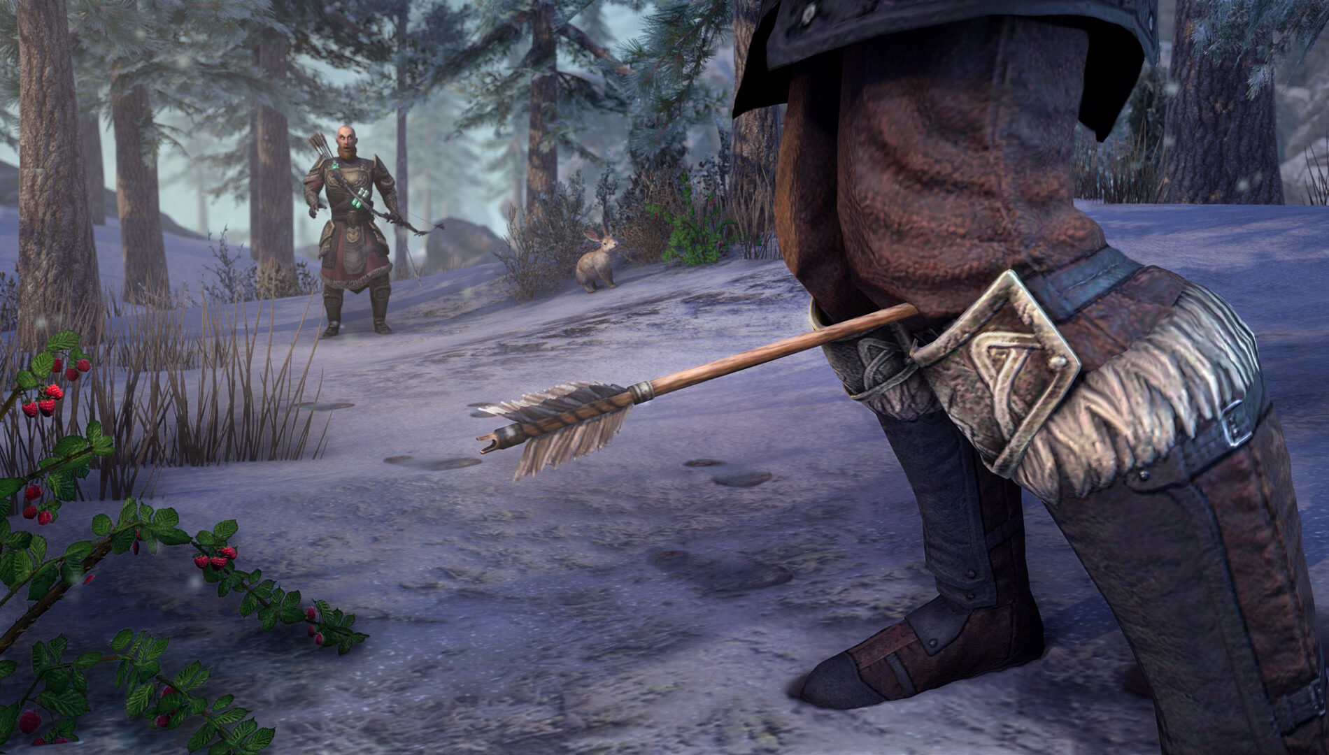 The Elder Scrolls Online Screenshot