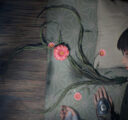 Beast of Reincarnation Screenshot