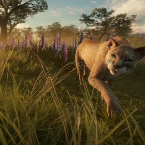 theHunter: Parque Fernando Small Image