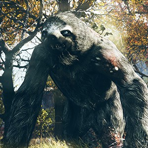 Fallout 76 Side image
