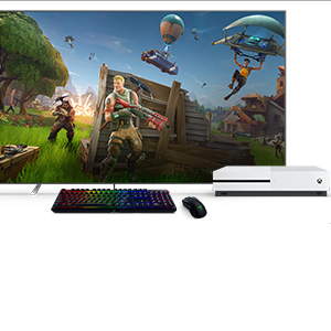 Fortnite Key Mouse Small