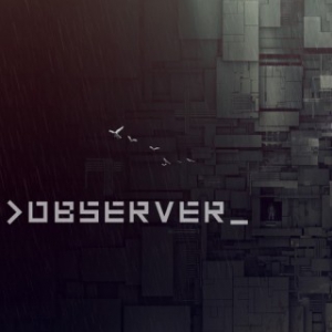 Observer Small Image