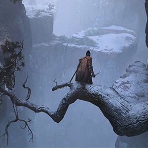 Sekiro side image