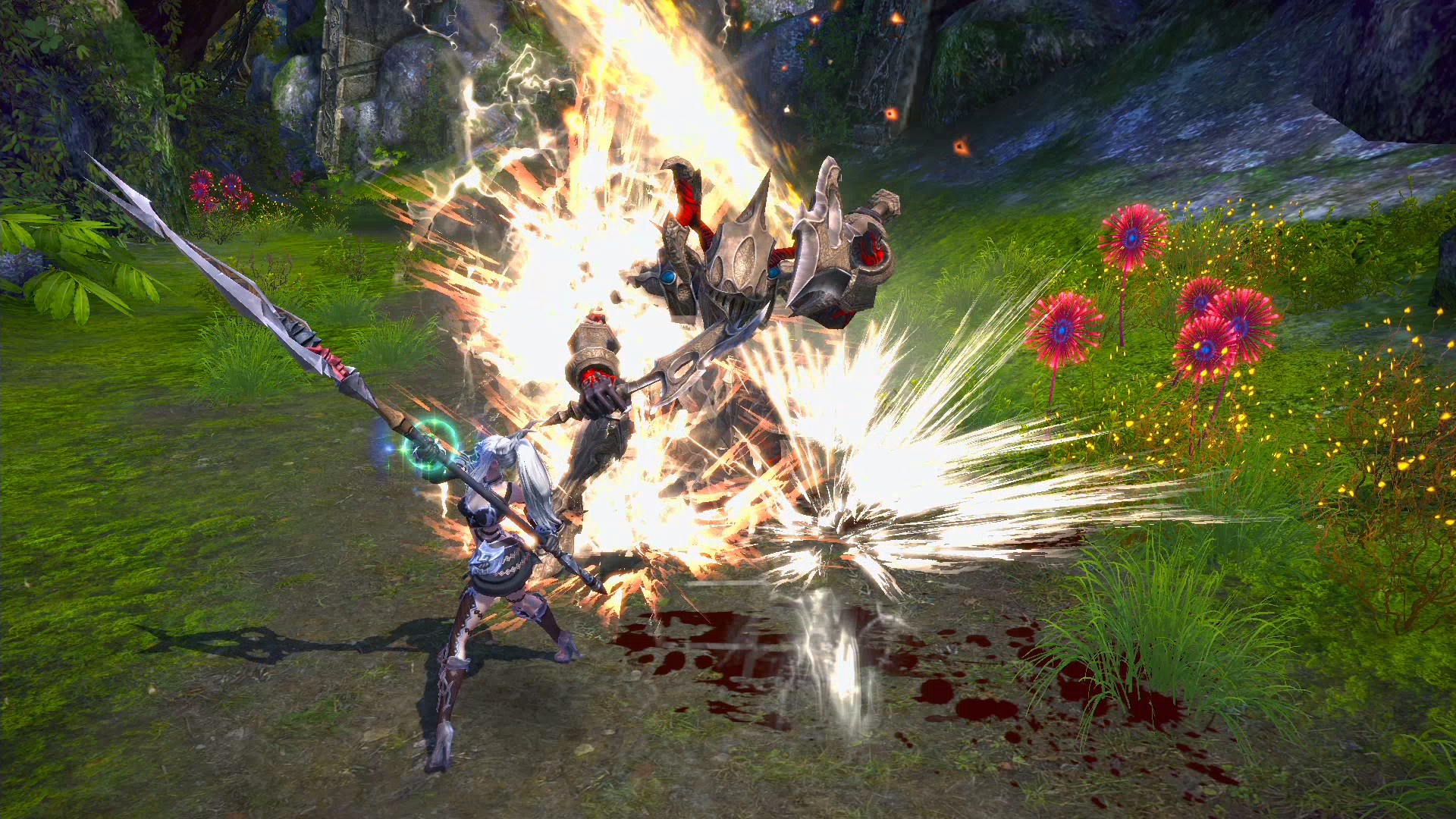TERA - Valkryie