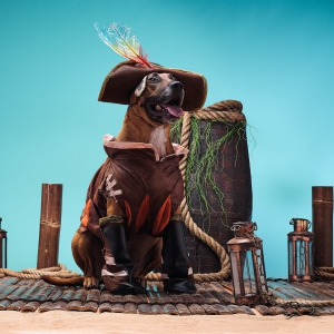 Xbox CosPups - Sea of Thieves