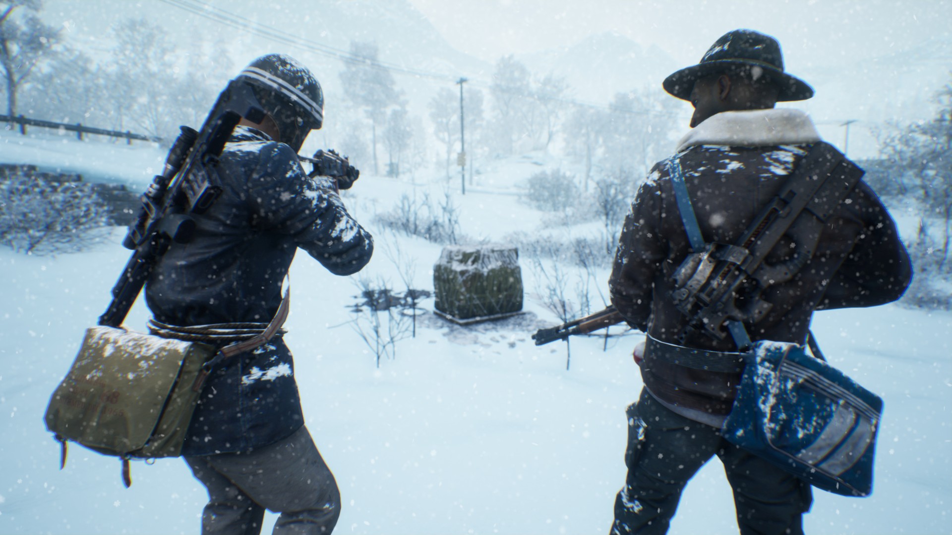 Vigor Screenshot