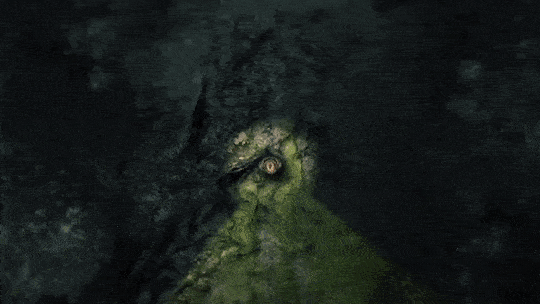 Darkwood