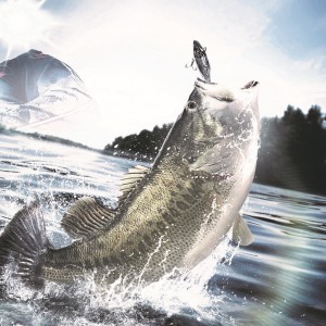 Fishing Sim World Small Image