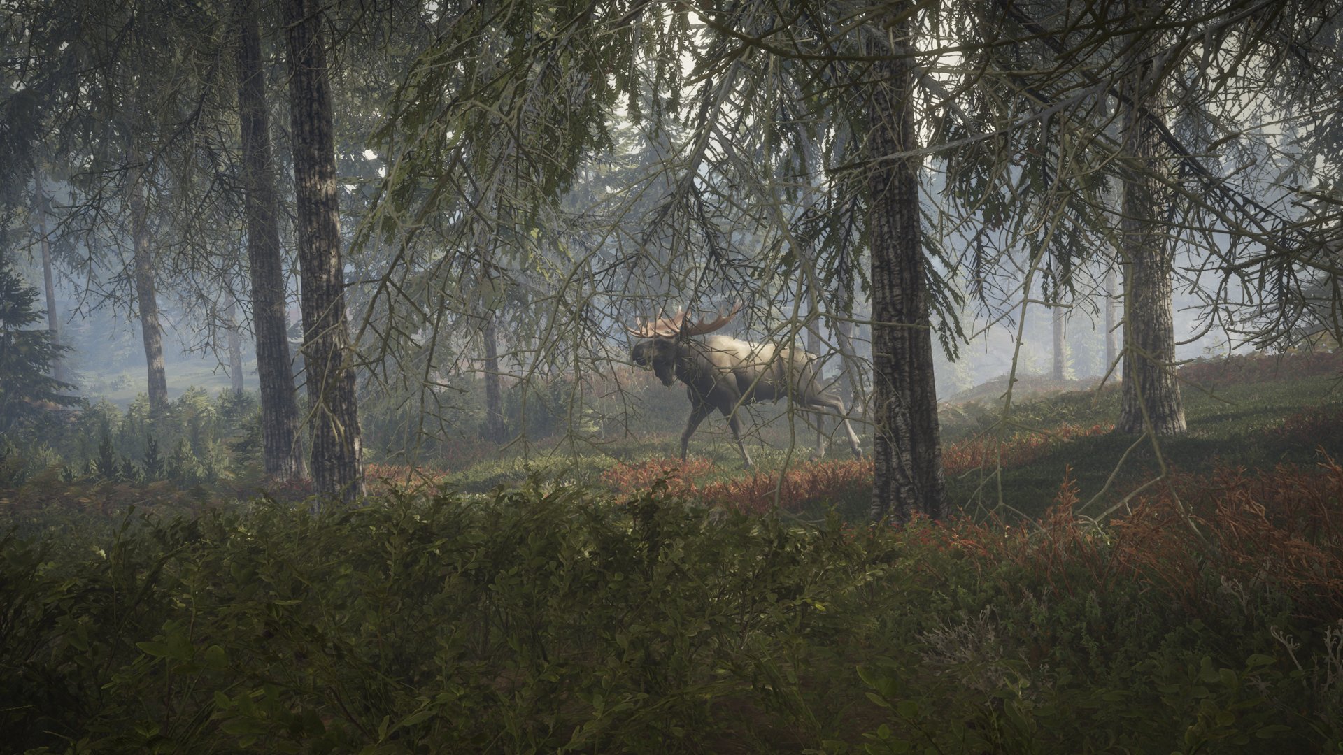 theHunter Call of the Wild Screenshot