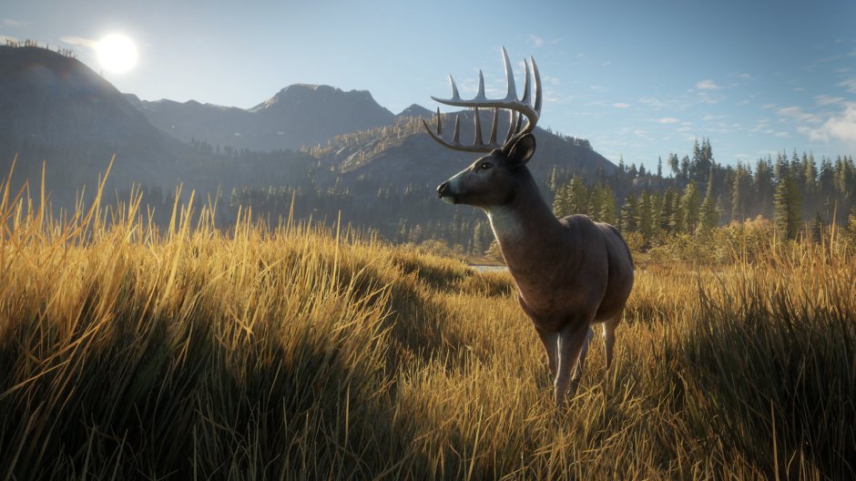 theHunter Call of the Wild Hero Image