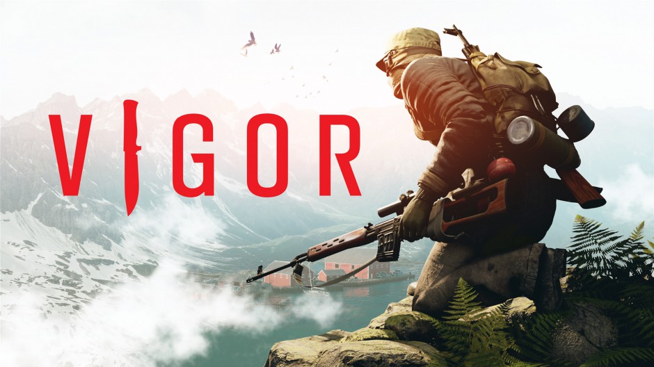 Vigor Hero Image