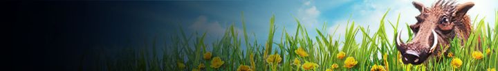 Bild eines braunen Warzenschweins in einem grünen Feld mit gelben Blumen und einem marineblauen und himmelblauen Hintergrund.