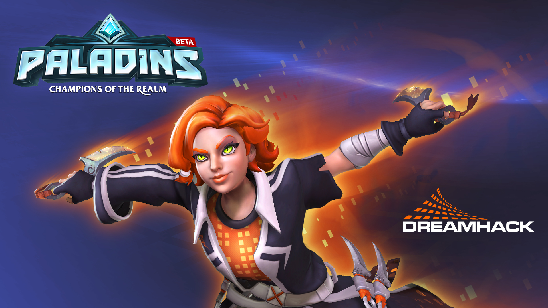 Imagen de Paladins