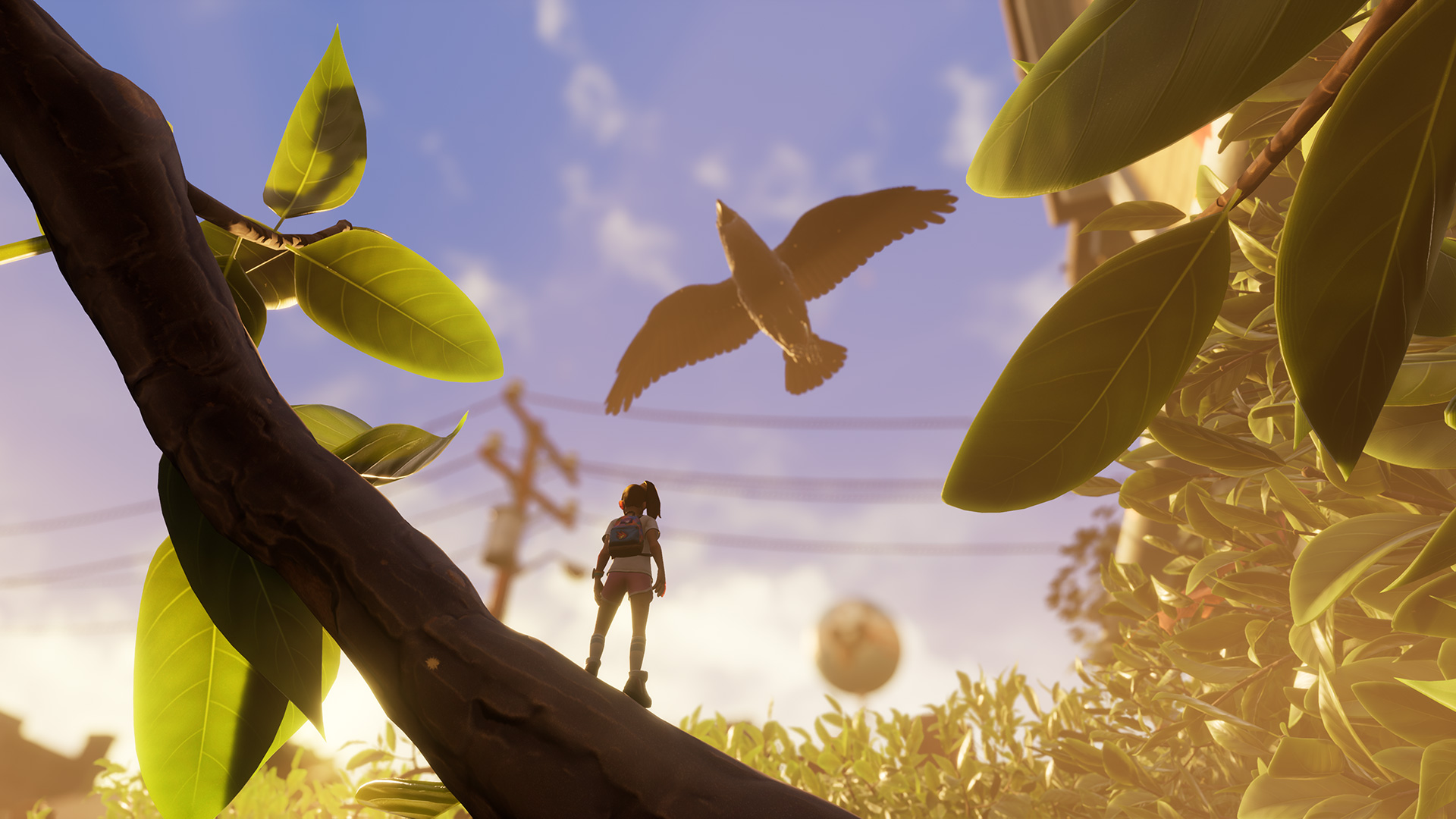 Imagem do pássaro, destaque no primeiro update de Grounded