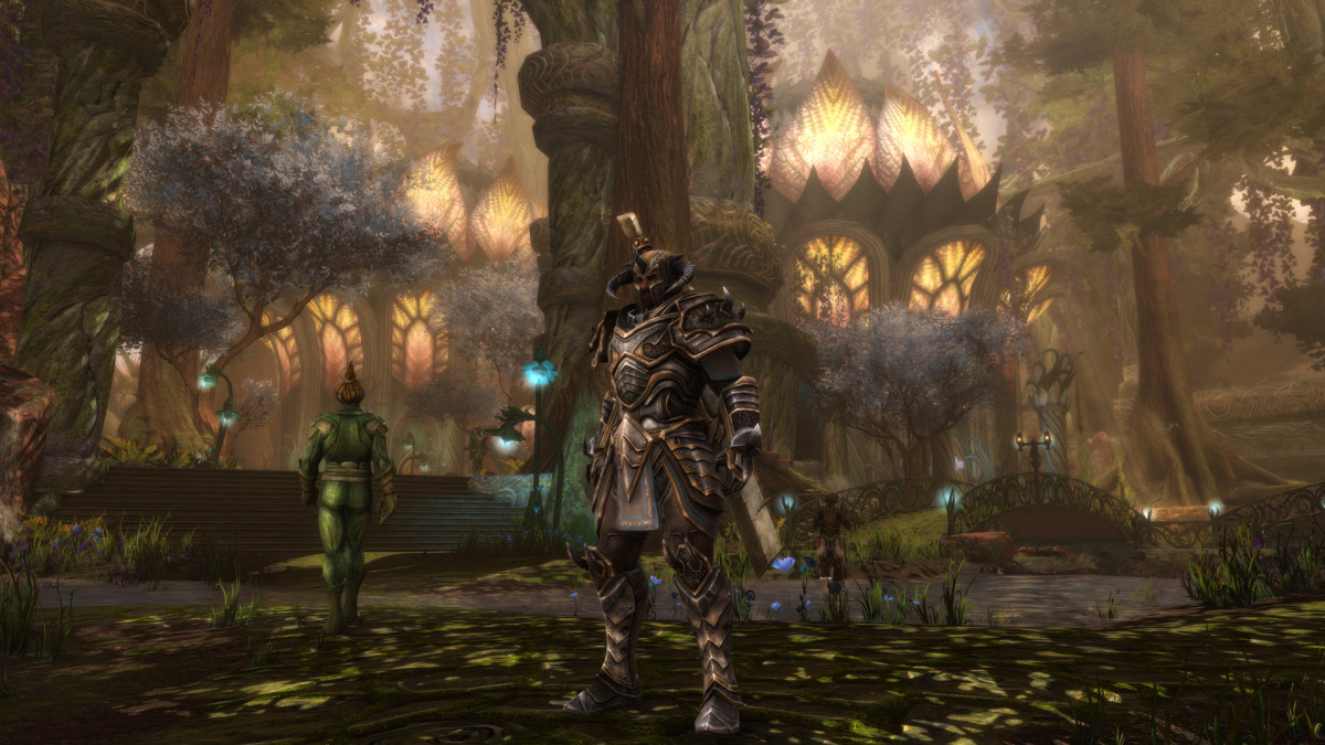 Guerreiro em Amalur