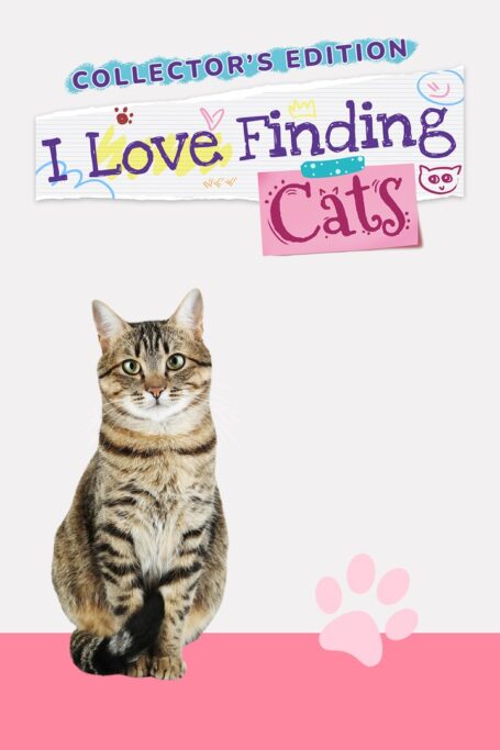 Imagem do jogo I Love Finding Cats